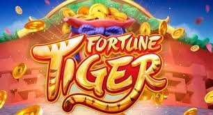 Live casino feature cards for Bangladesh adults using mobile entertainment